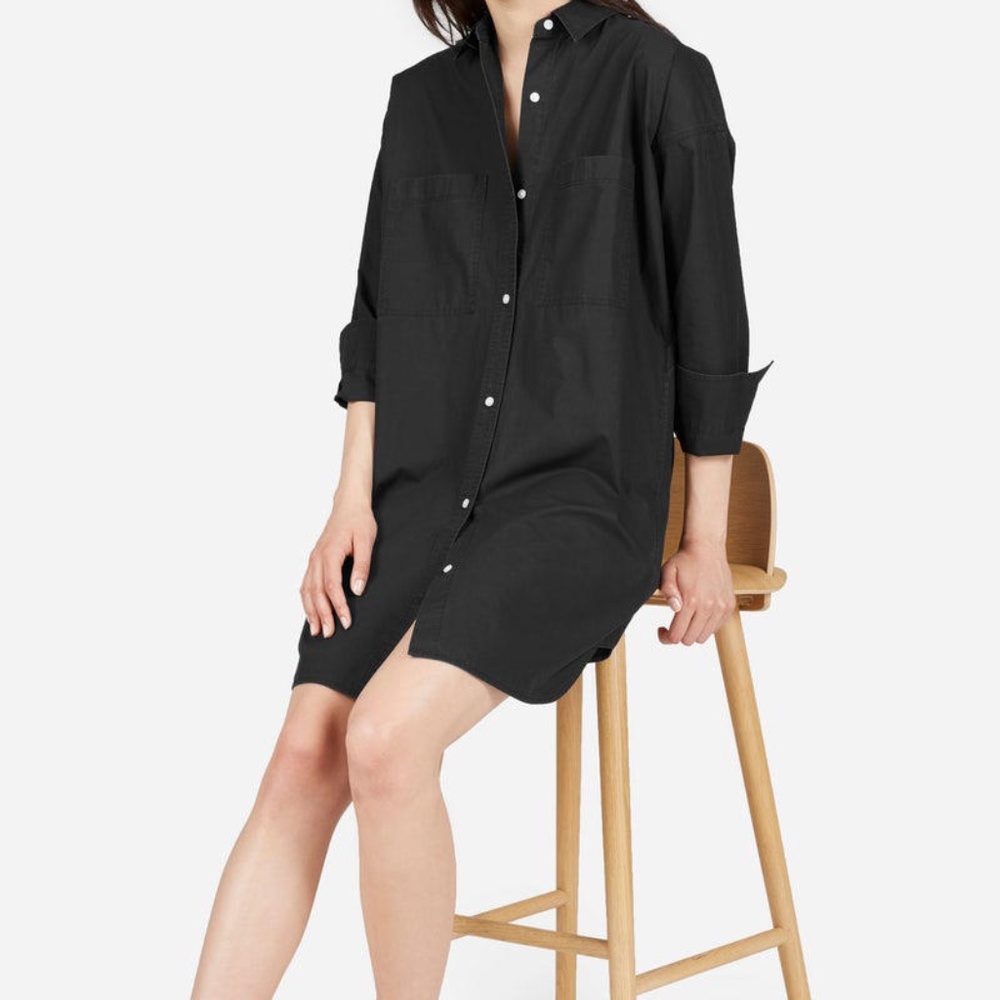 Everlane Pocket Shirtdress